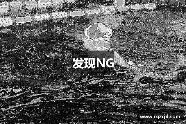 发现NG